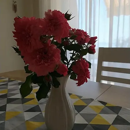 Pejic,makarska,veliko Brdo Lejlighed