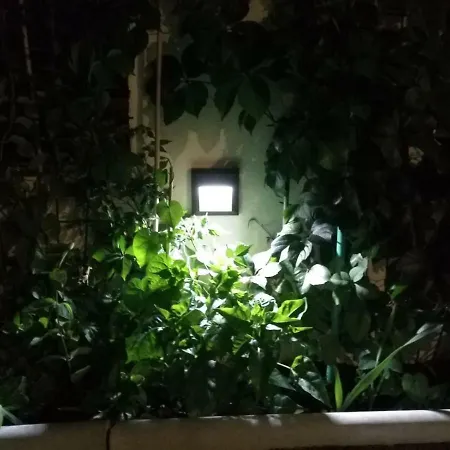 Apartment Pejic,makarska,veliko Brdo *